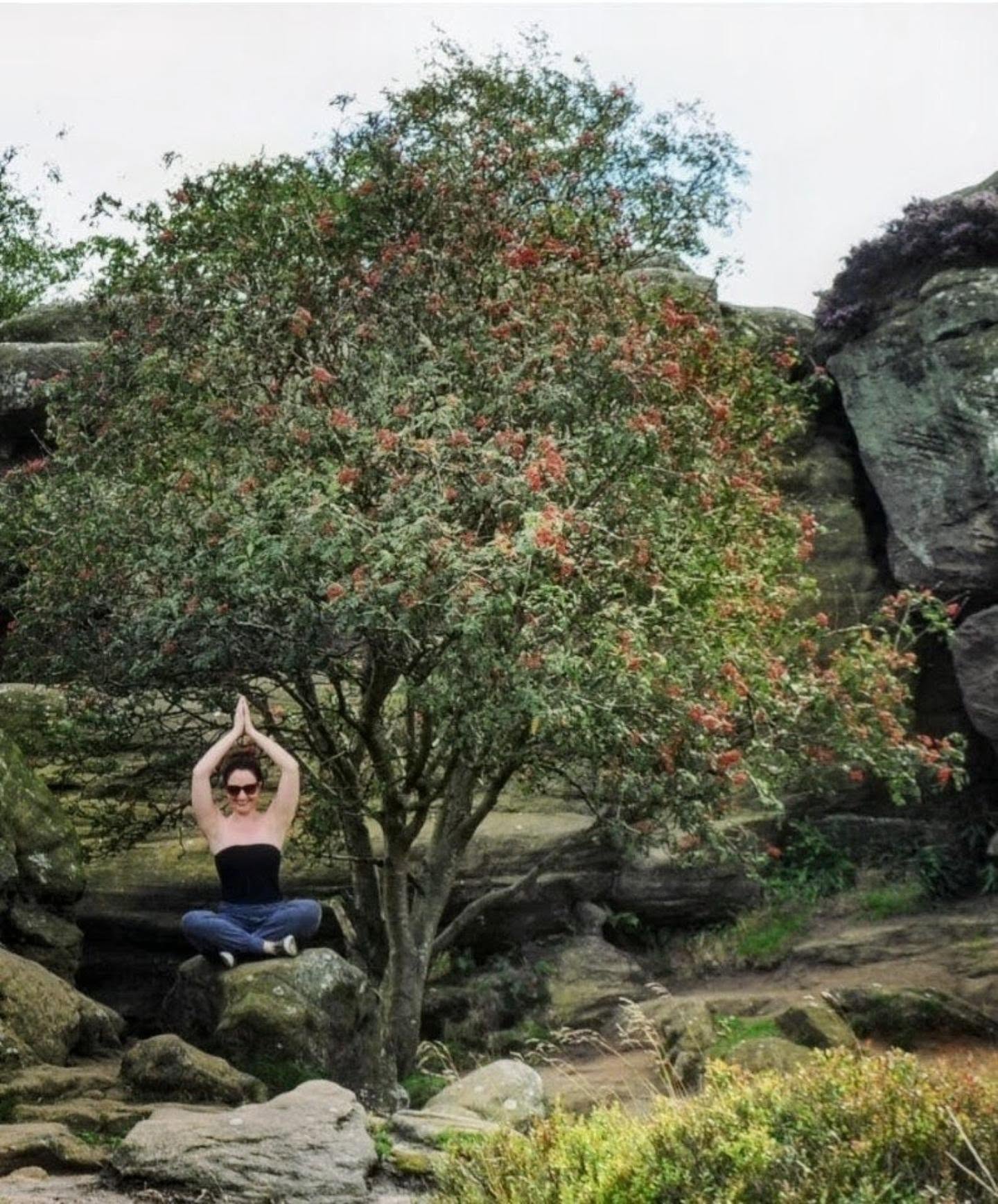 Person in a yoga pose beneath a flowering tree